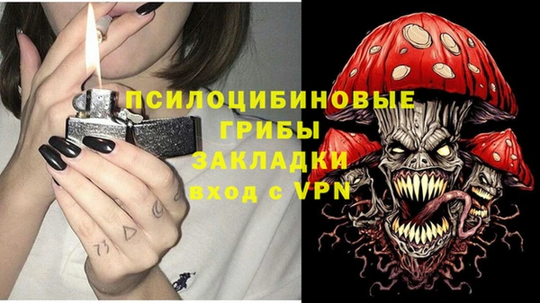 мдпв Арсеньев