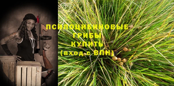 мдпв Арсеньев